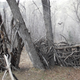 Image for article titled Homicidal Lunatics Busted Rigging a Popular Trail With Deadly Medieval Booby Traps
